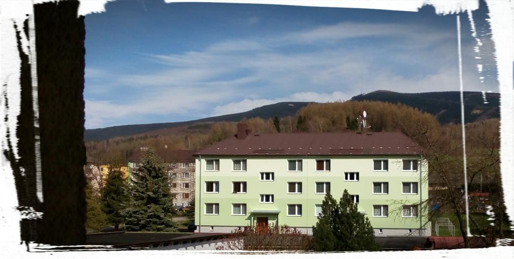 Apartman Loučná nad Desnou Zewnętrze zdjęcie